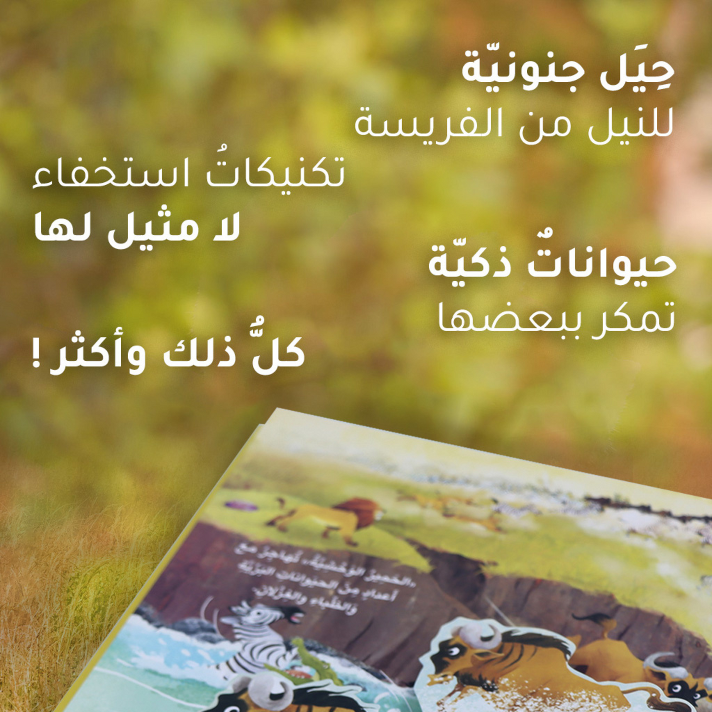 مجموعة مملكة الحيوان - 4 قصص ثلاثية الأبعاد