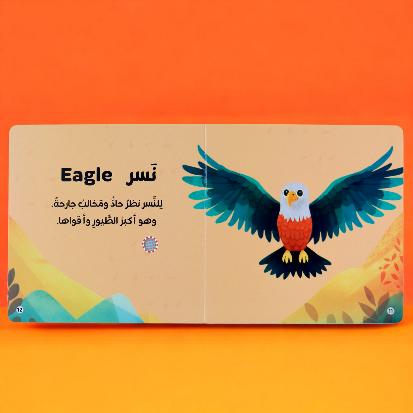 أصوات الحيوانات 4 كتب