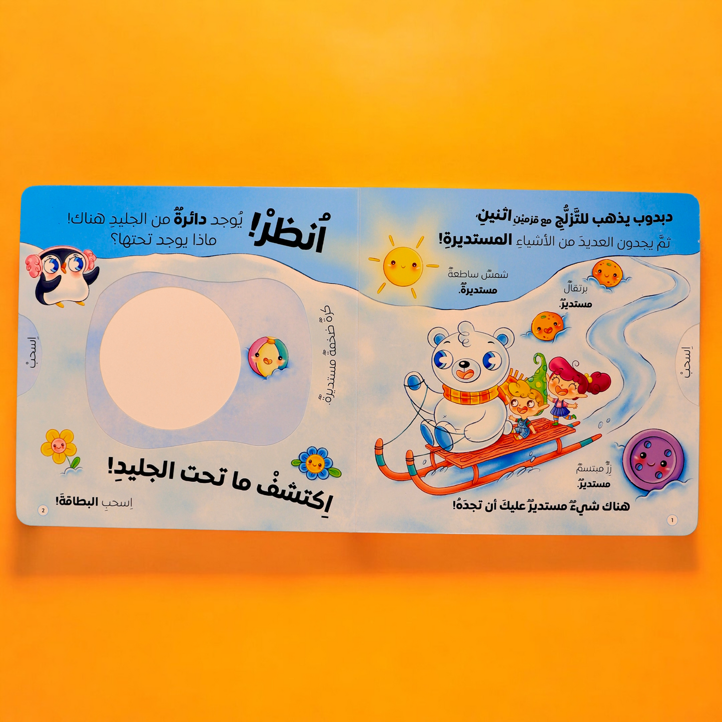 إكتشف ما تحت الجليد- كتابين تفاعليين