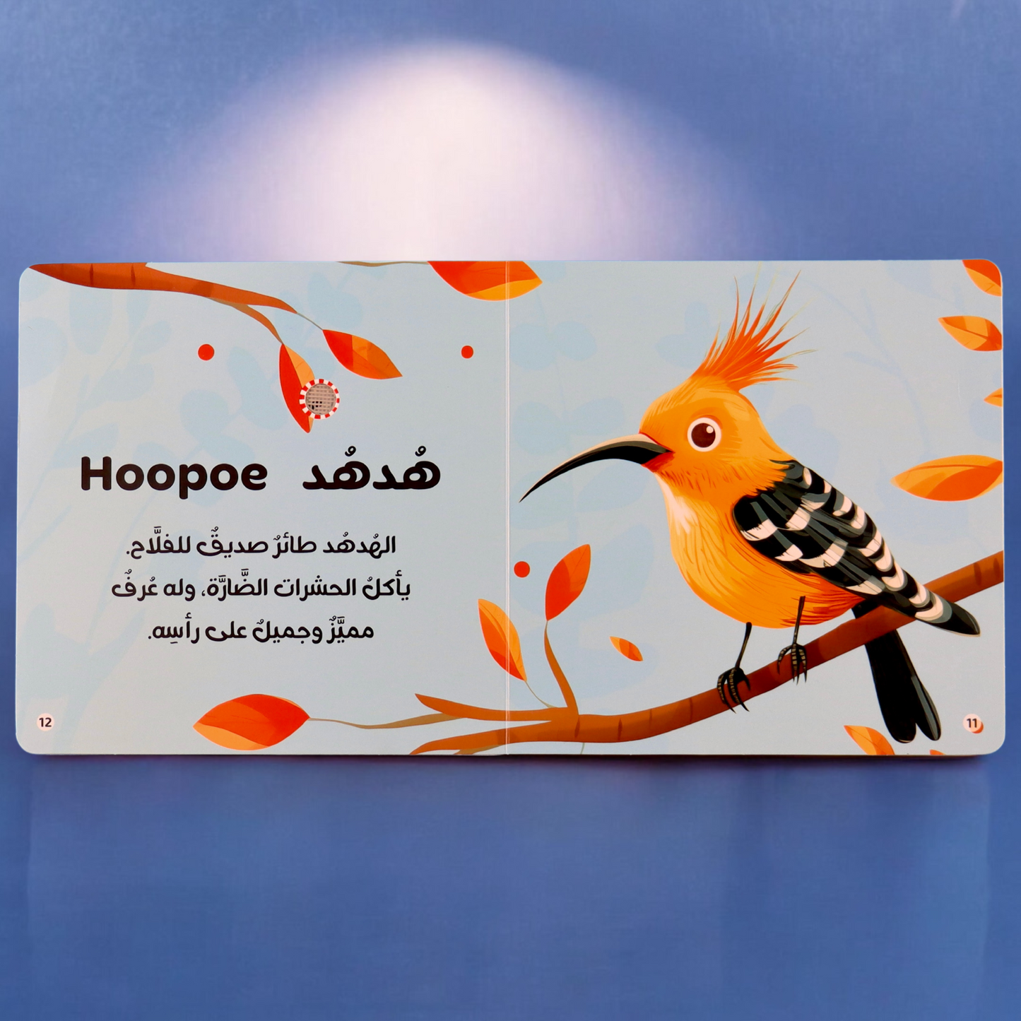 مجموعة قصص تفاعلية مميزة مكونة من 10 قصص