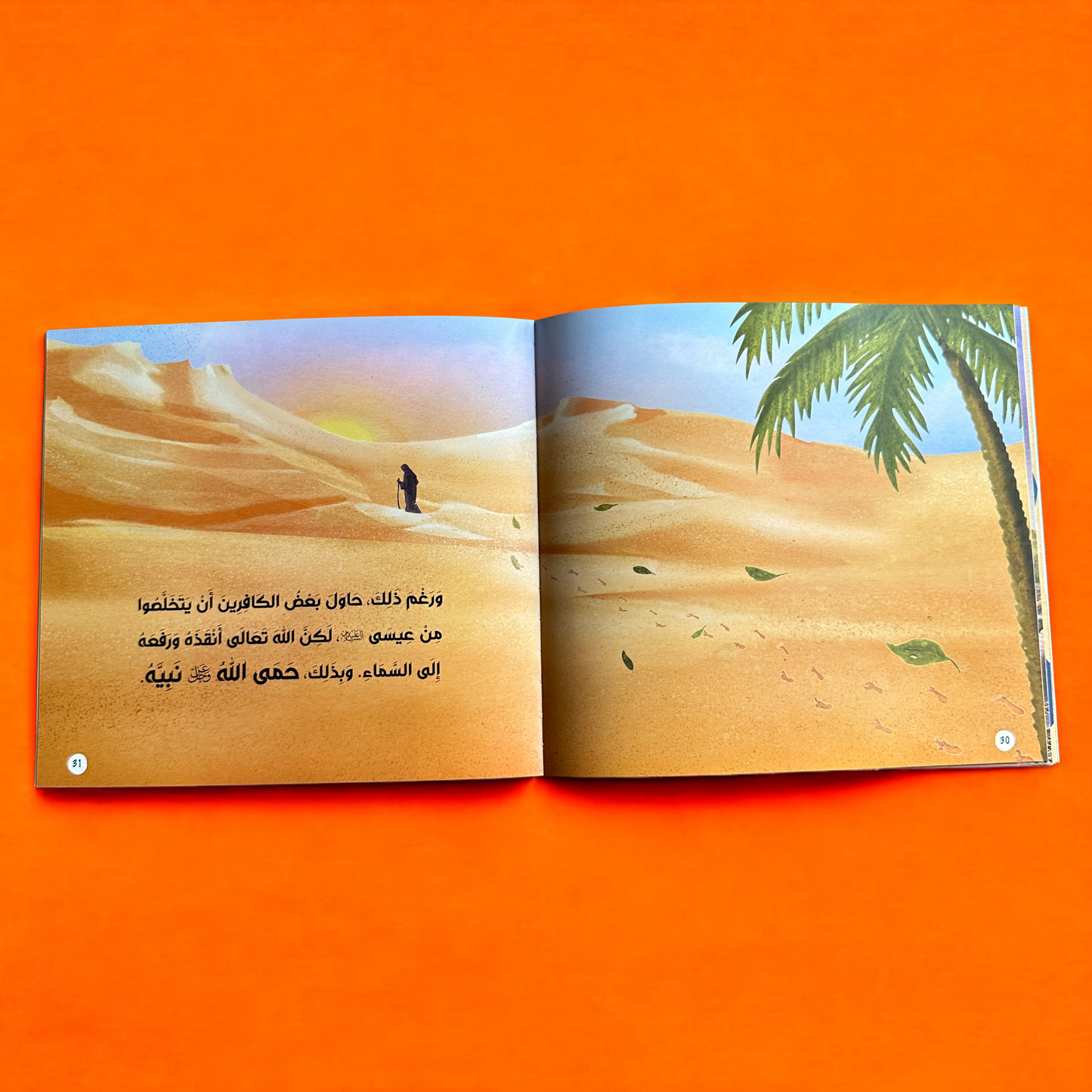 عرض قصص الأنبياء مع الأسرة المسلمة 19 كتاباً