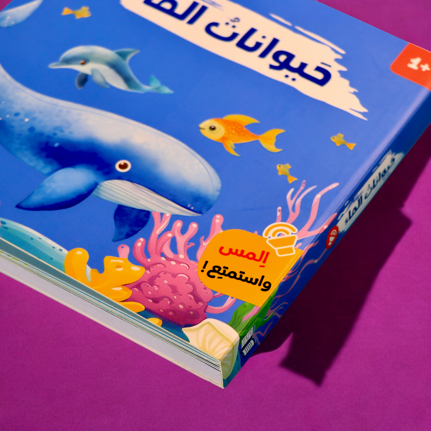 كتابي المسموع الصوتي جديد - حيوانات الماء