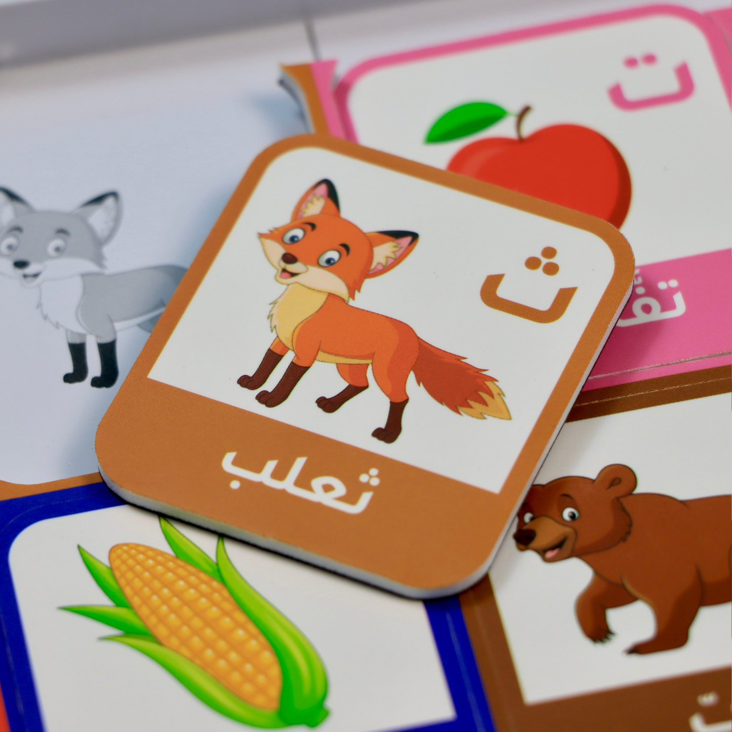 حروفي وكلماتي الأولى عربي