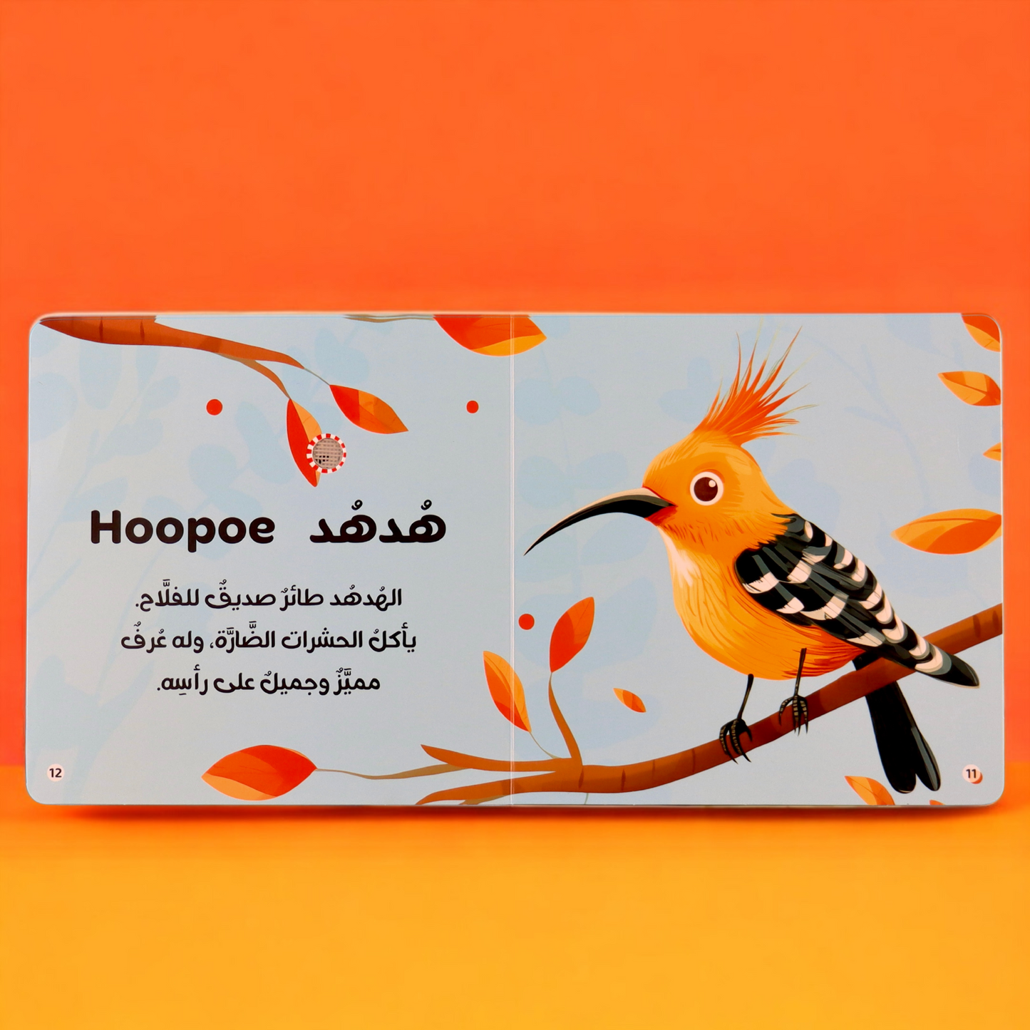أصوات الحيوانات 4 كتب