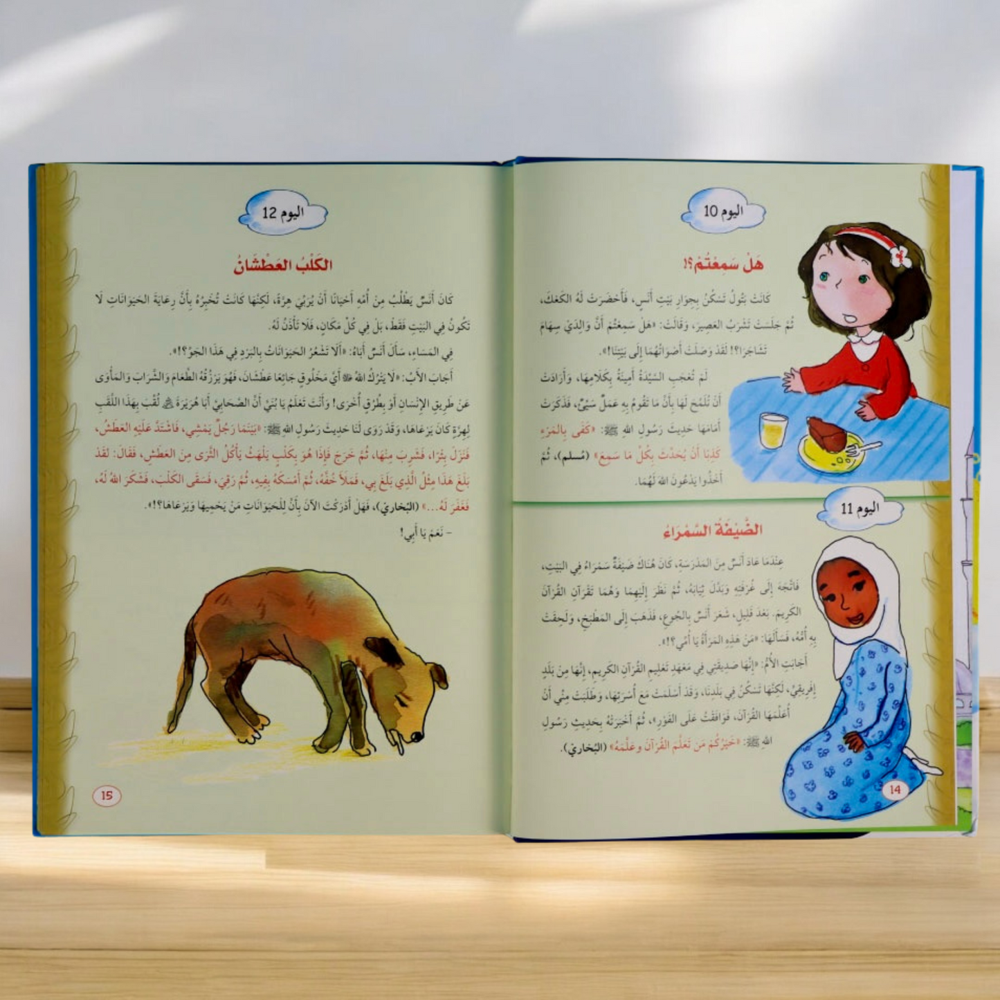يوميات المسلم الصغير الجديدة 3 كتب