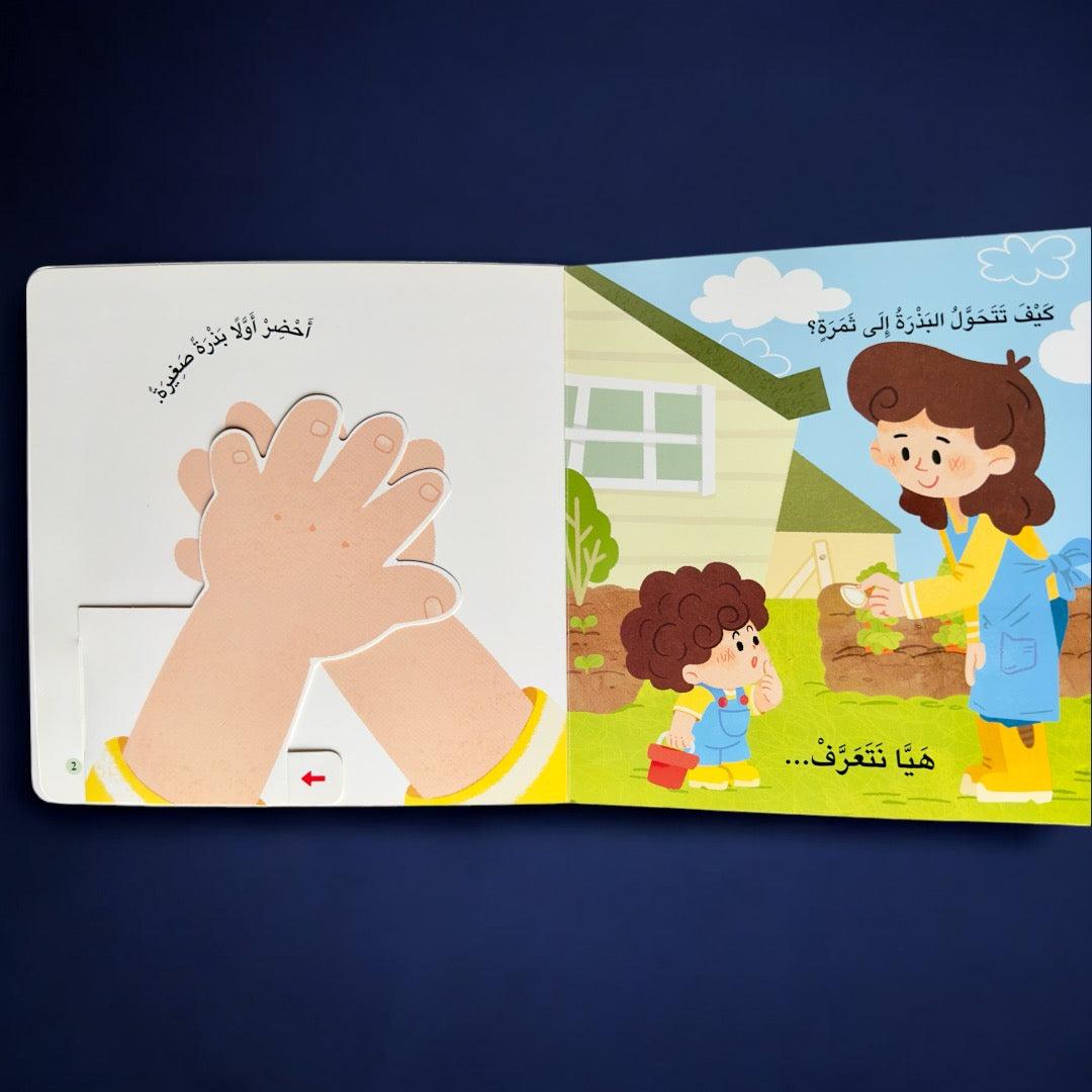 عرض قصصي التفاعلية ( تفاعلي + صوتي + ثلاثي الأبعاد)