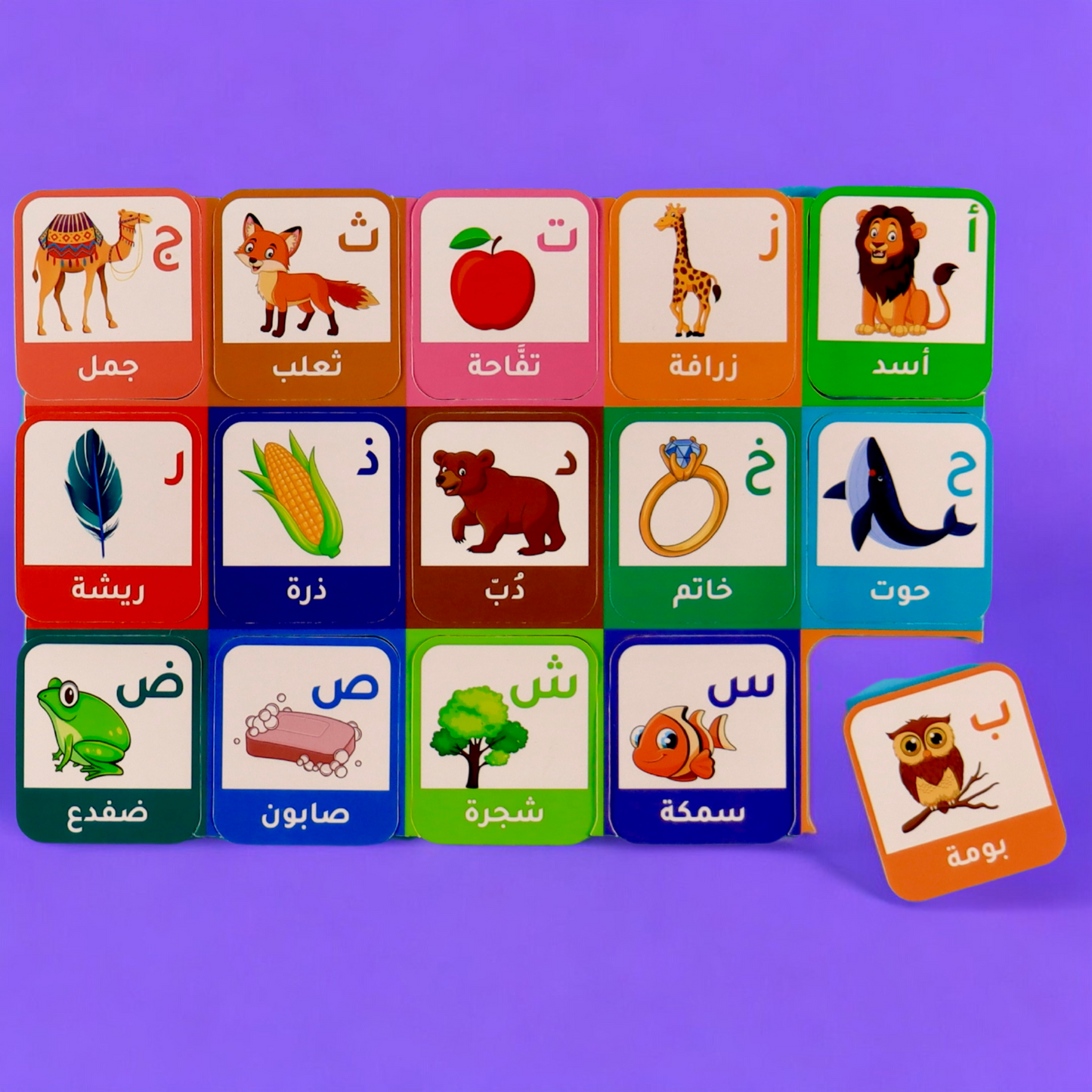 حروفي وكلماتي الأولى عربي