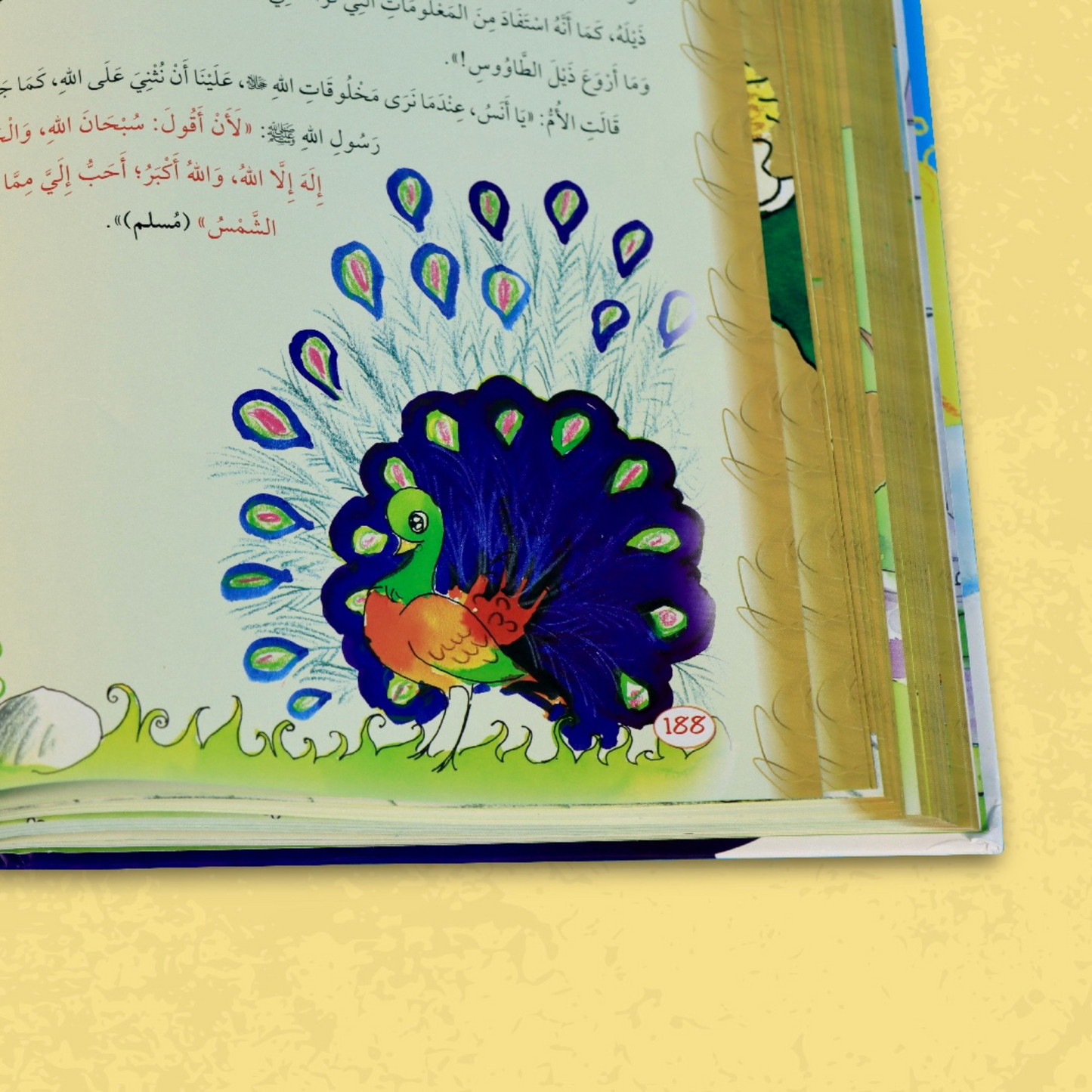 يوميات المسلم الصغير الجديدة 3 كتب