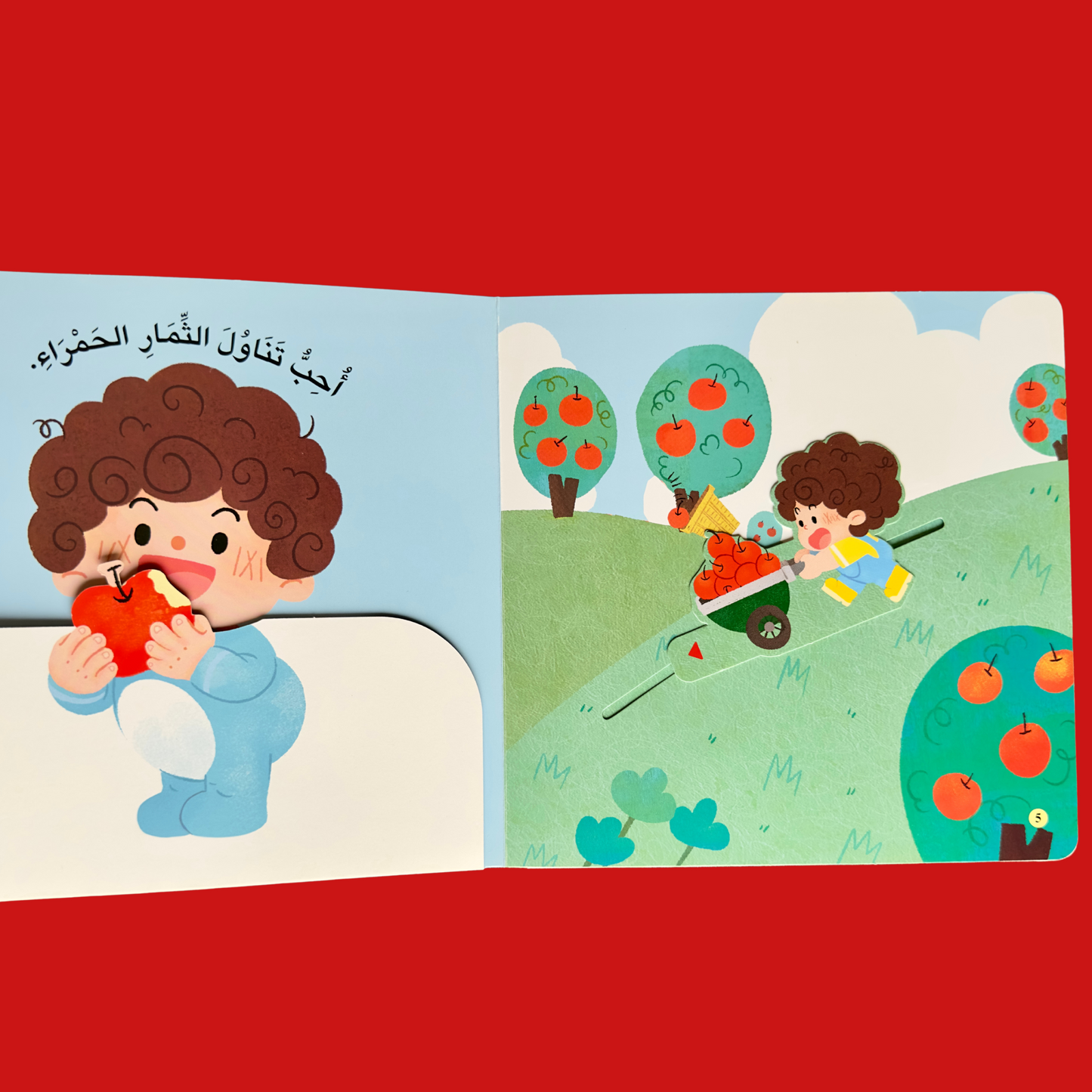 مجموعة المكتشف الصغير