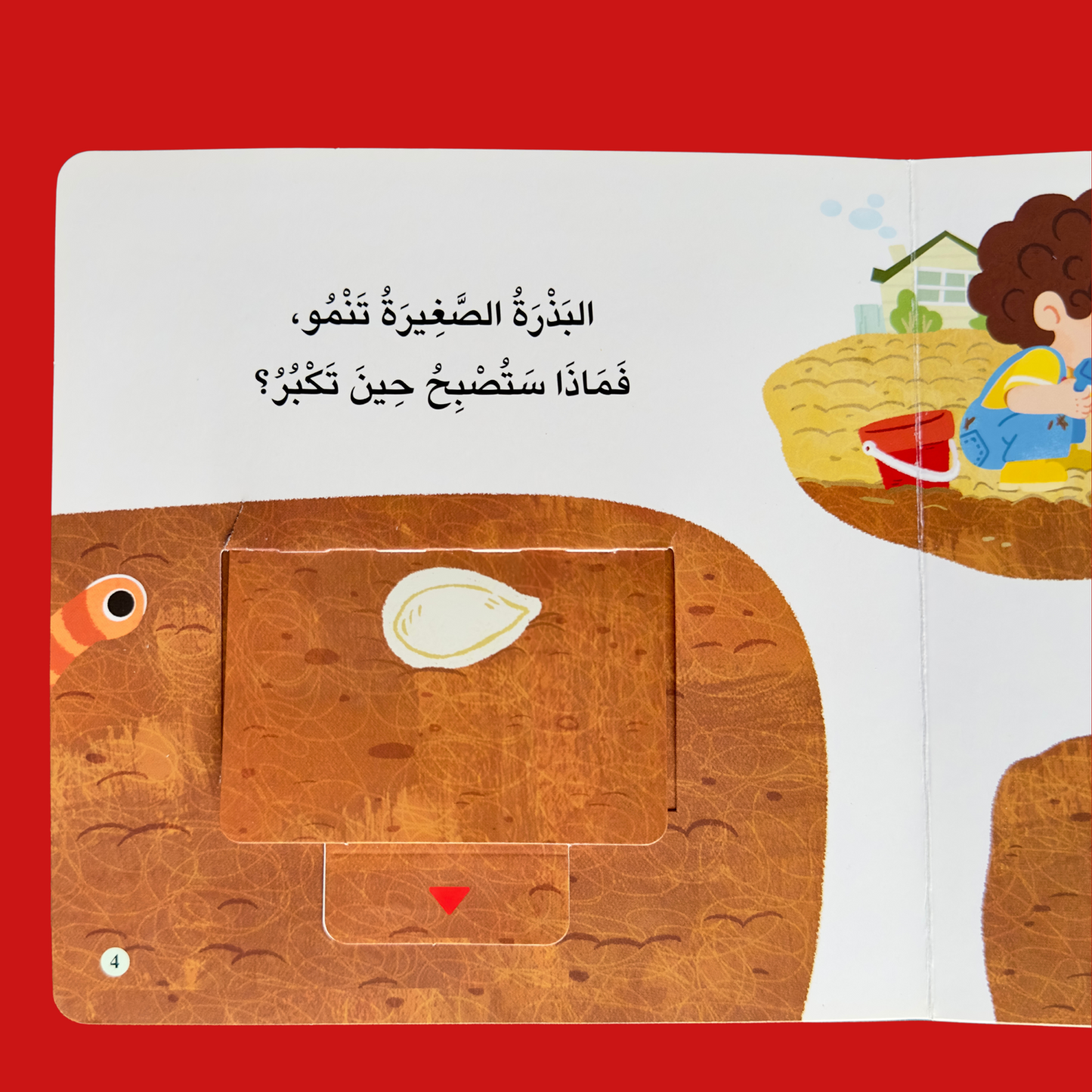مجموعة المكتشف الصغير