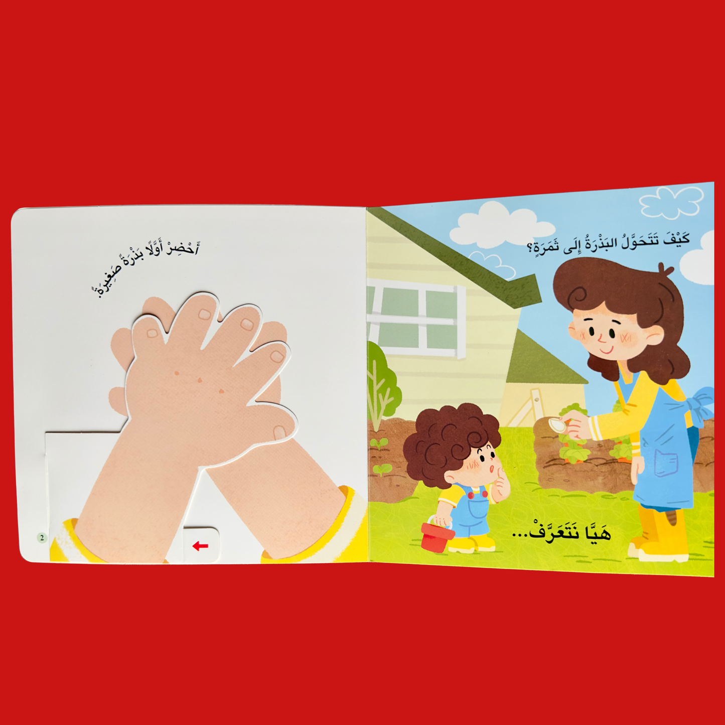 مجموعة المكتشف الصغير