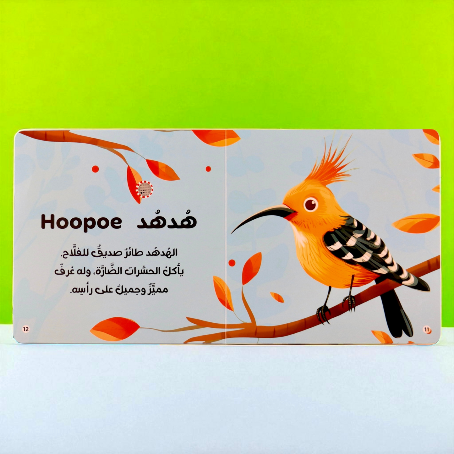 المجموعة الأمثل لعمر السنة والسنتين