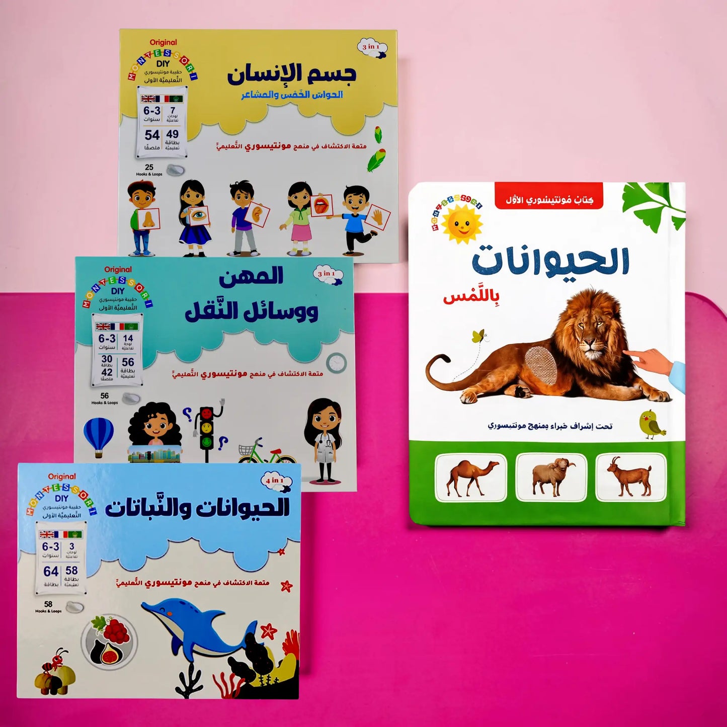 عرض مونتيسوري الإدراك والمعرفة المبكرة للحيوانات + جسم الإنسان + المهن + وسائل النقل + النباتات