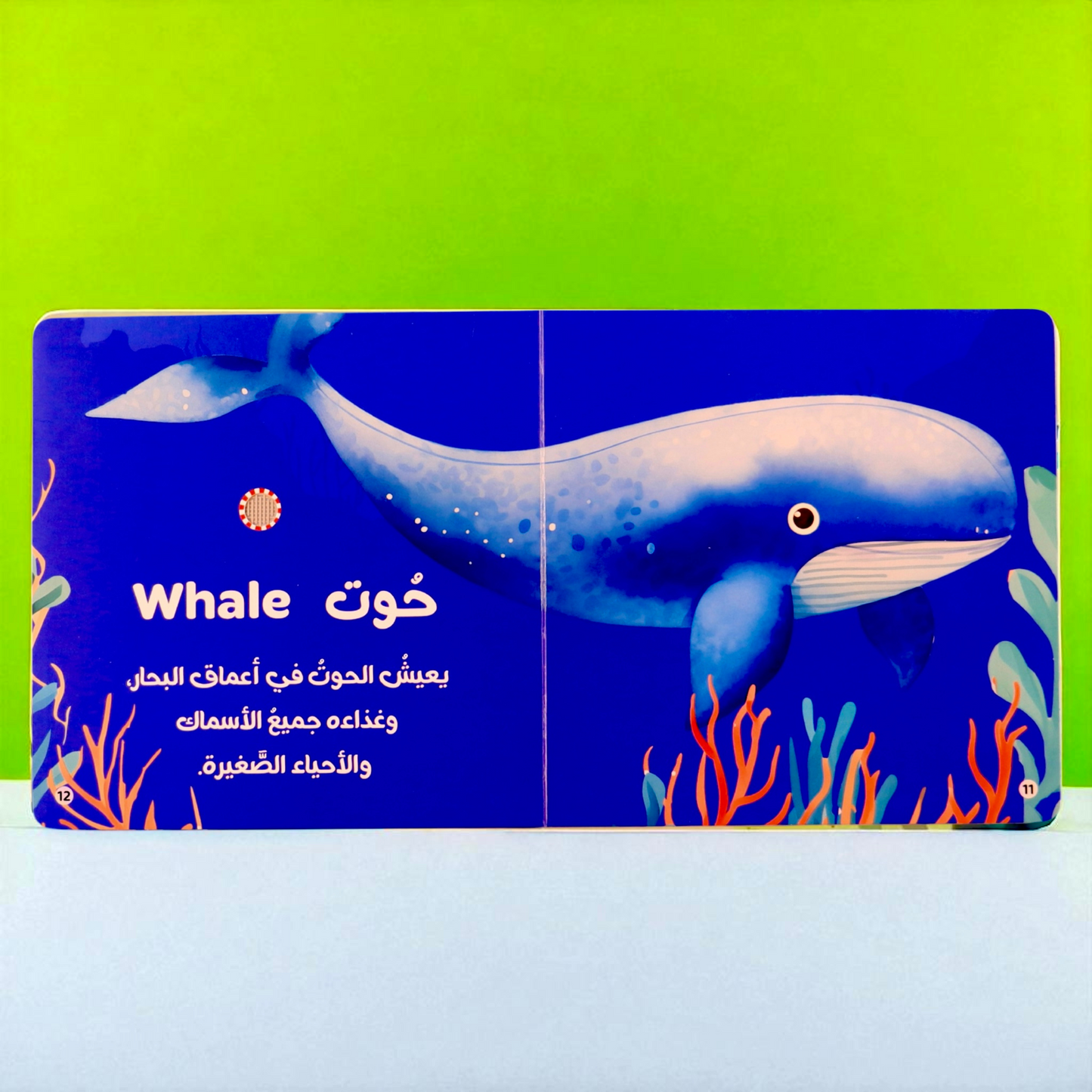 المجموعة الأمثل لعمر السنة والسنتين