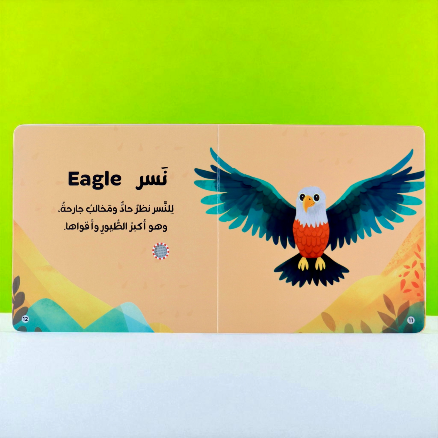 المجموعة الأمثل لعمر السنة والسنتين