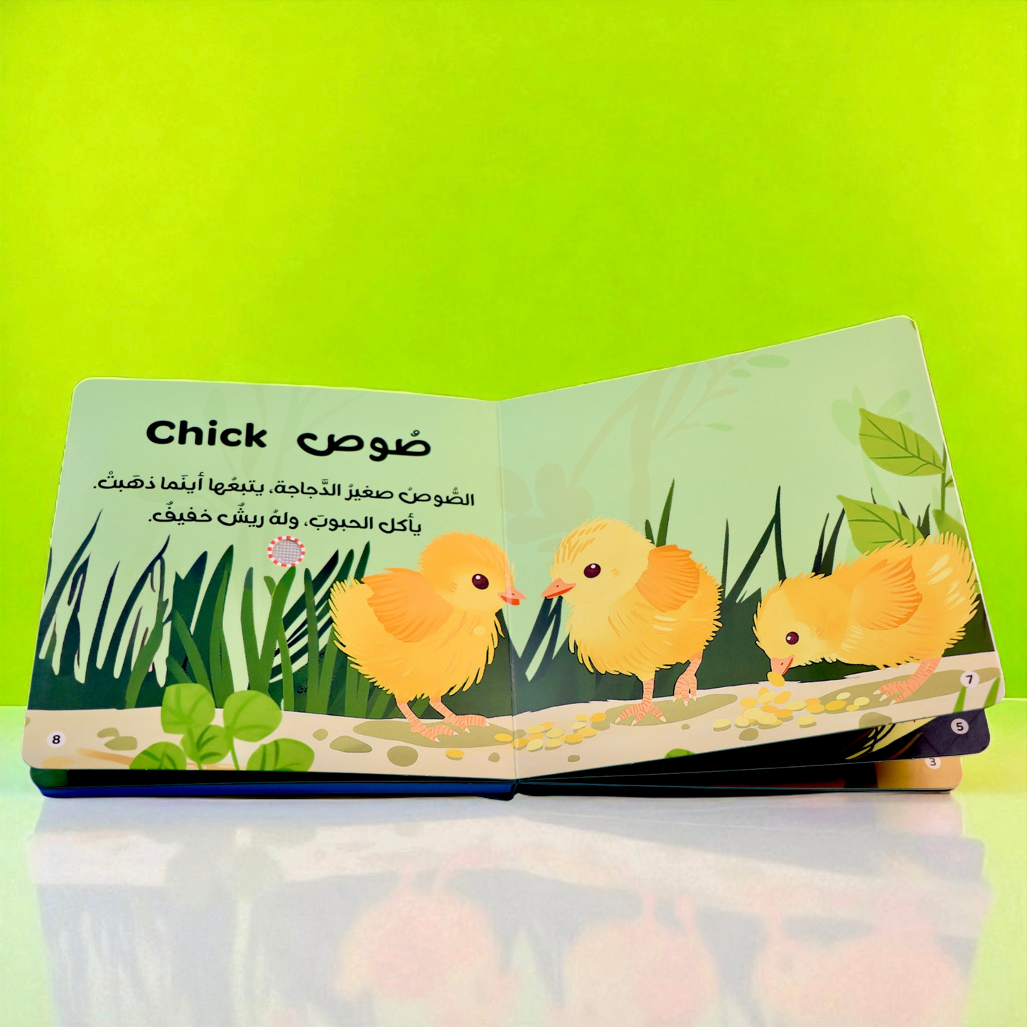 المجموعة الأمثل لعمر السنة والسنتين