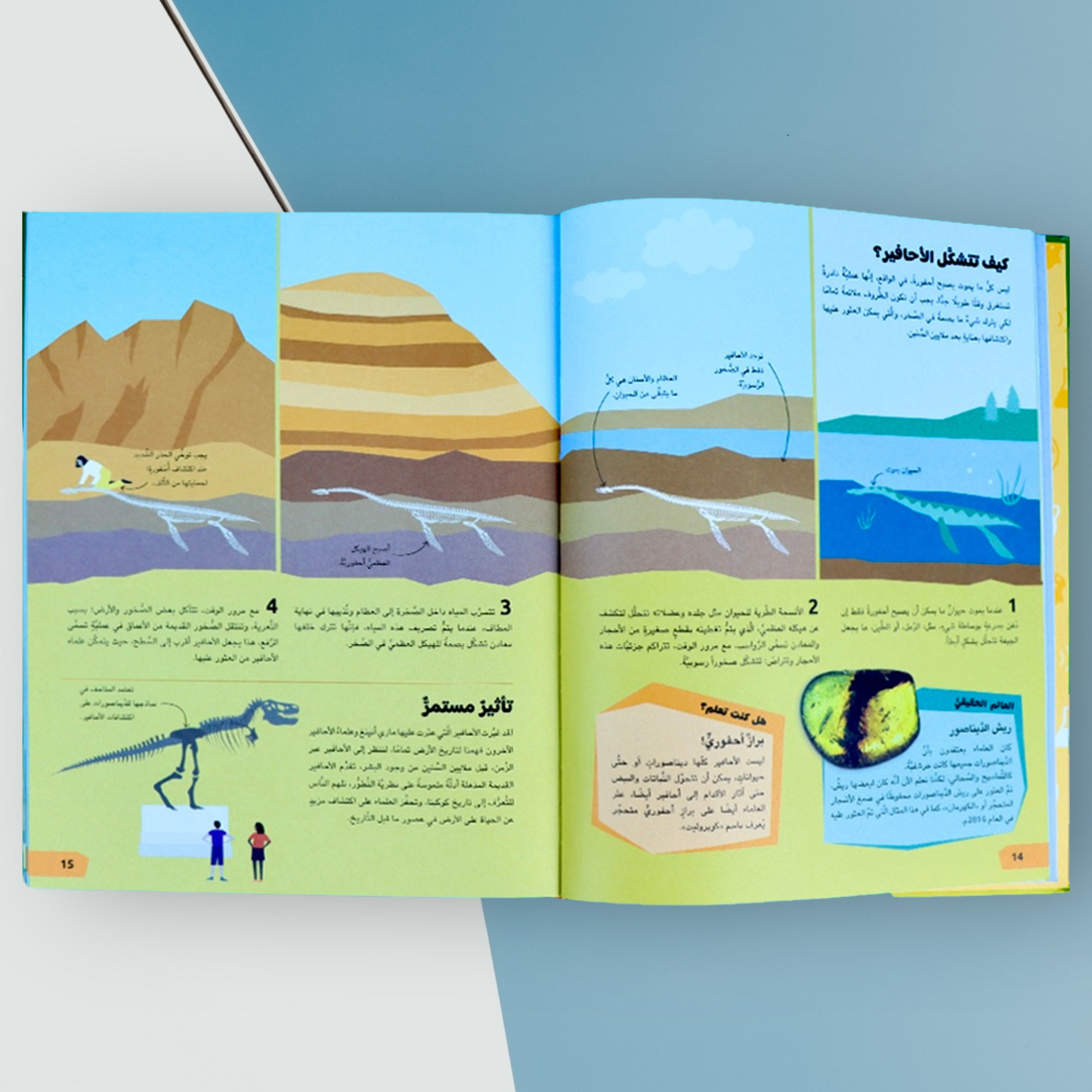 ما فائدة العلوم ؟