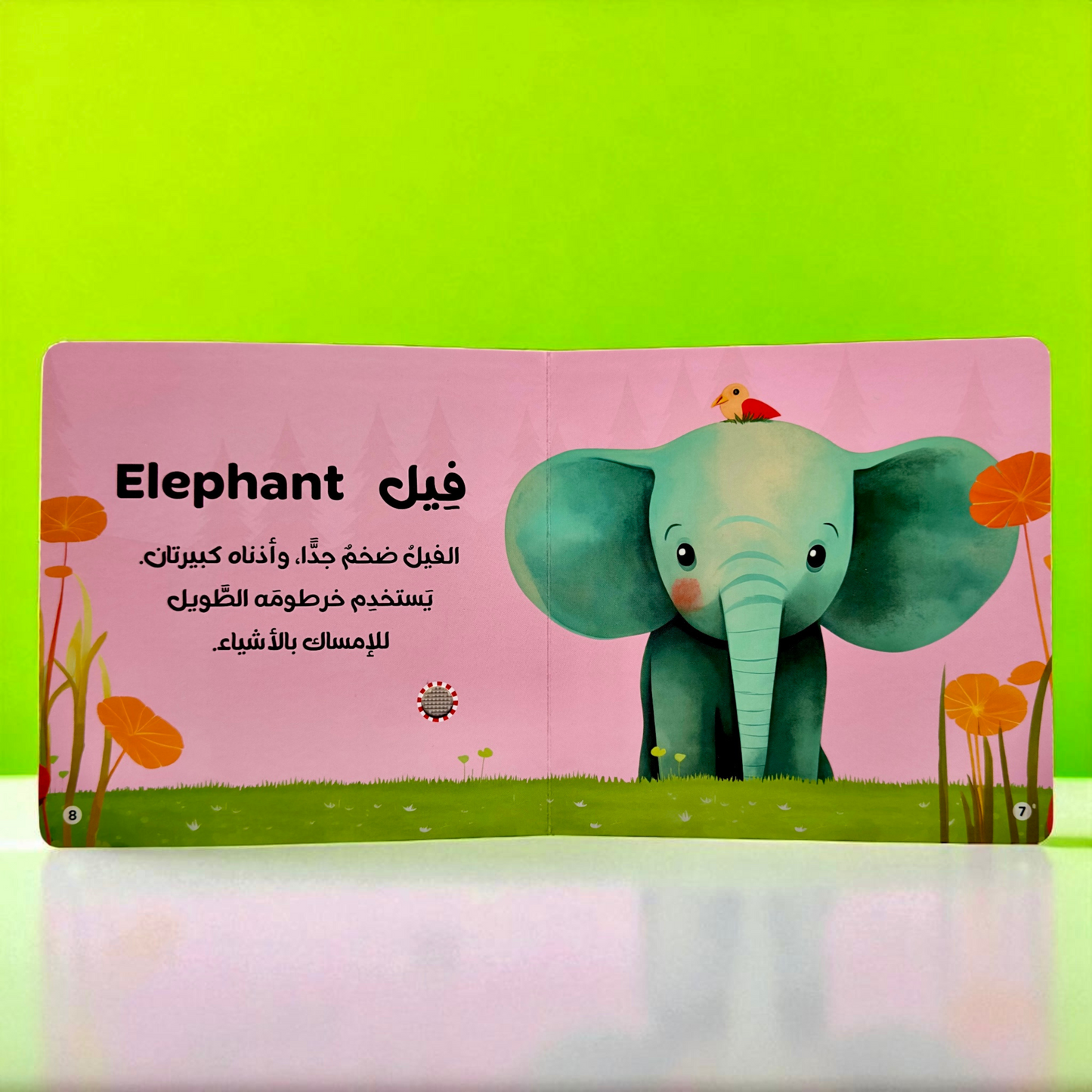 المجموعة الأمثل لعمر السنة والسنتين