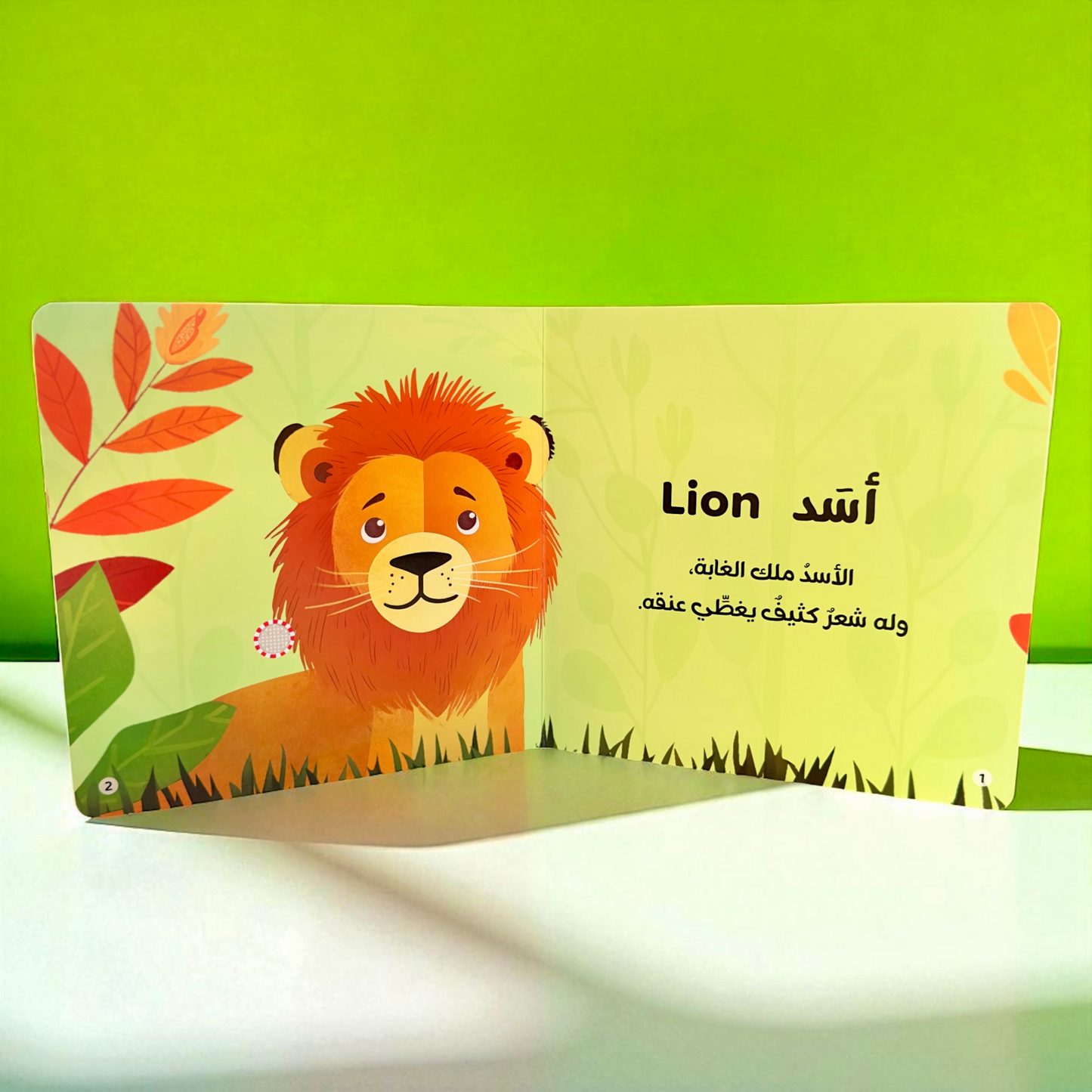 المجموعة الأمثل لعمر السنة والسنتين