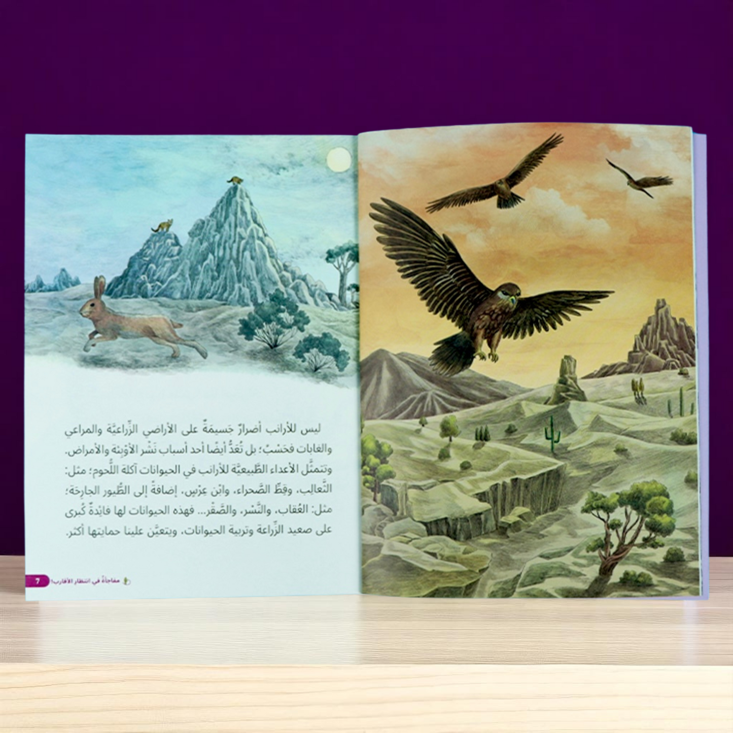 مغامرات في الصحراء 5 قصص