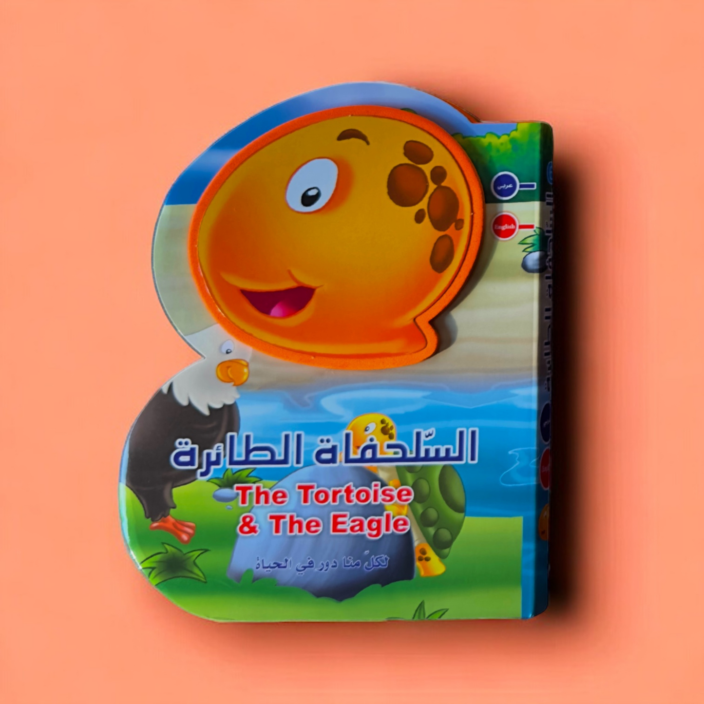 قصة فلين B Book إنجليزي عربي (السلحفاة الطائرة)