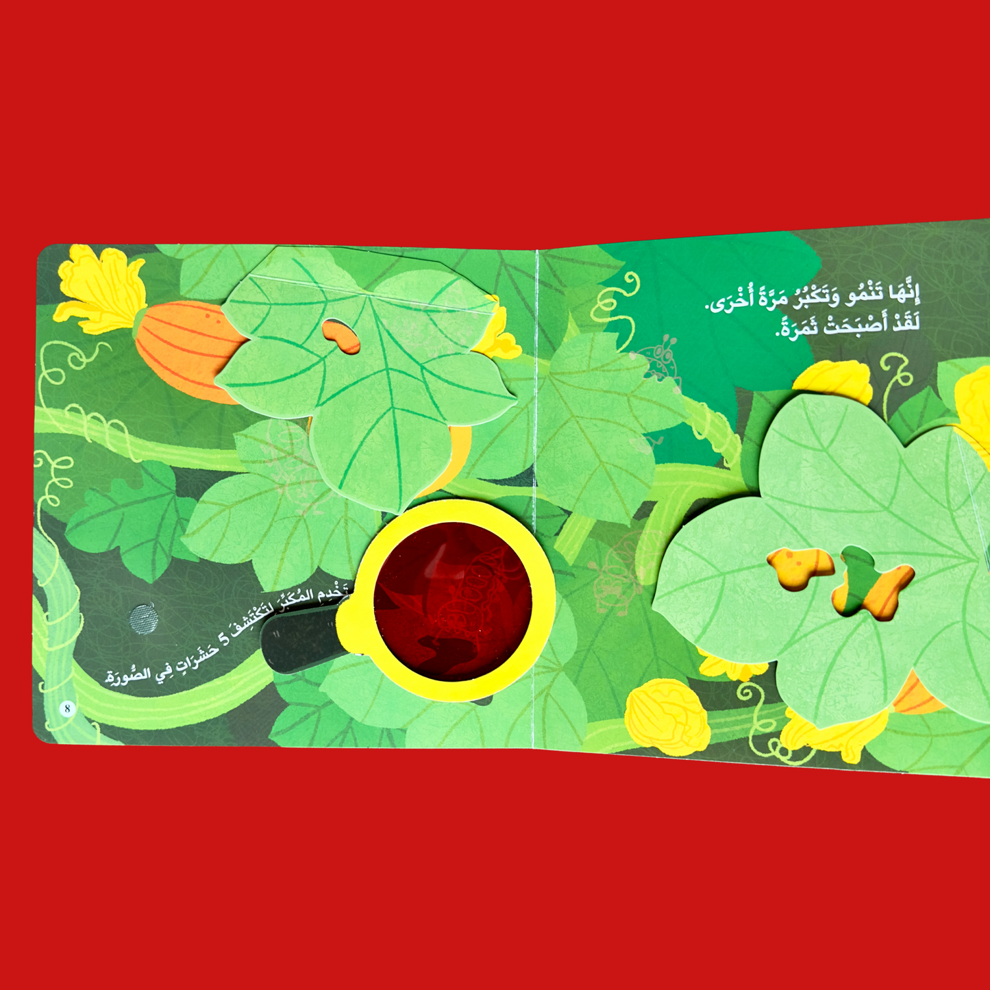 مجموعة المكتشف الصغير