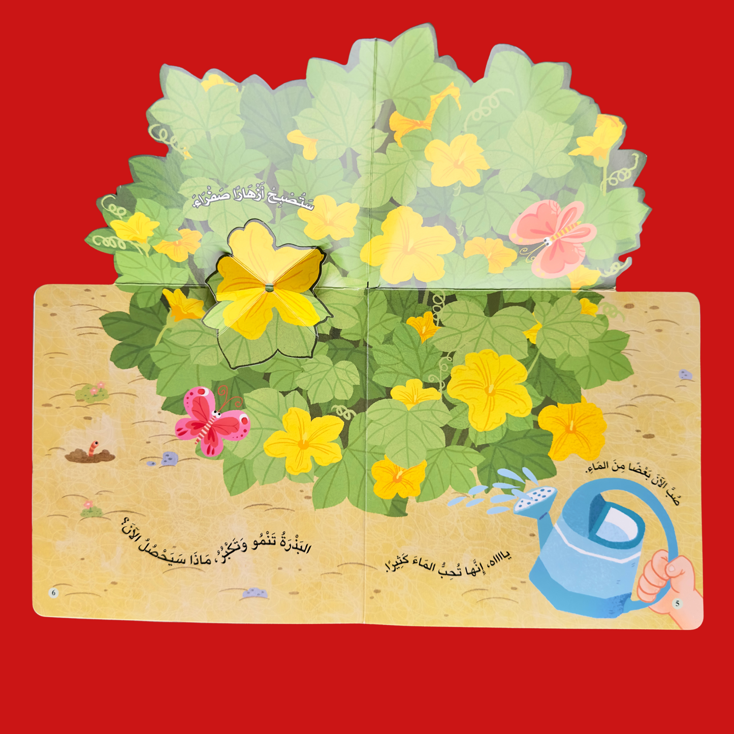 مجموعة المكتشف الصغير