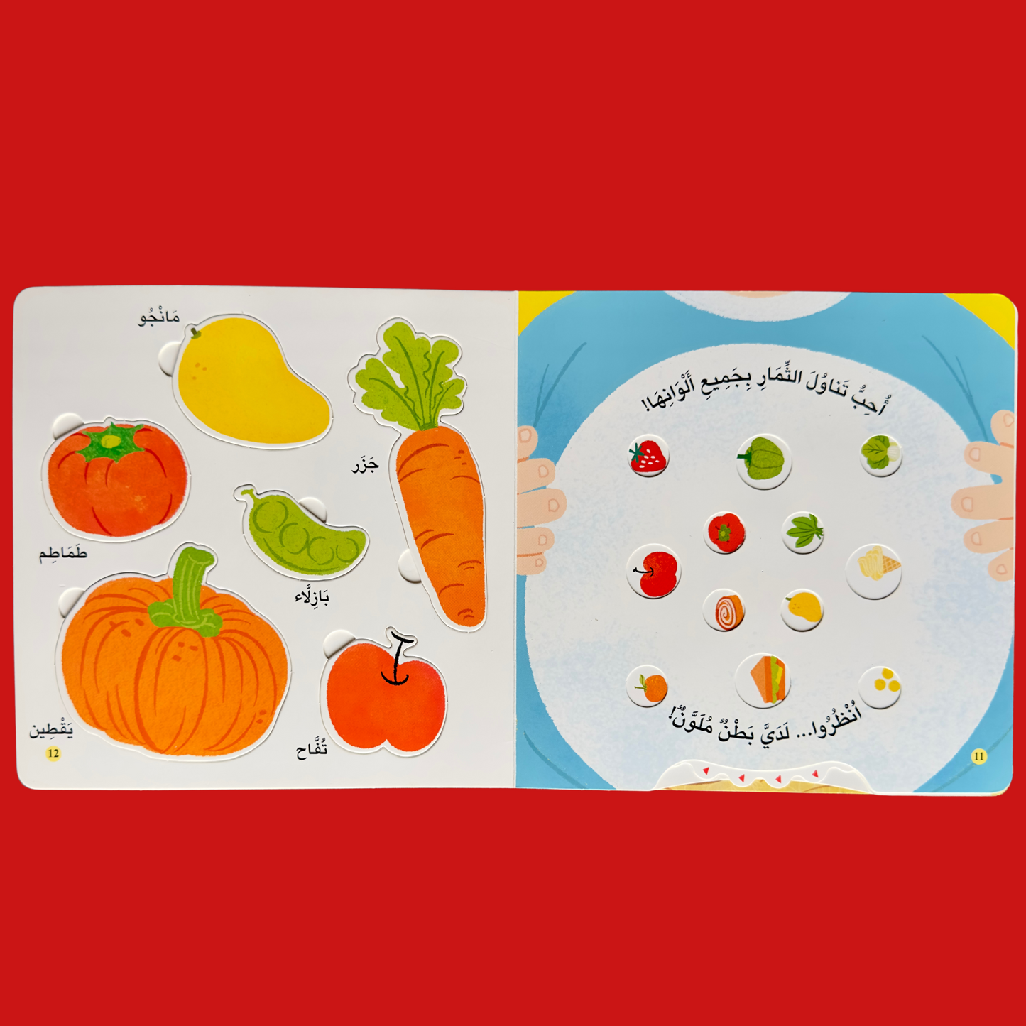 مجموعة المكتشف الصغير